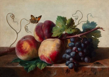 Stilleven van perziken en druiven op een marmeren tafel met een vlinder en andere insecten