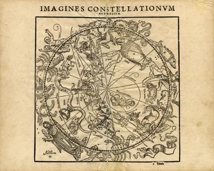 Verbeeldt Constellationum Australium (zuidelijke hemelplaneet)