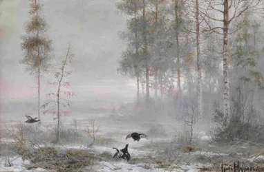 Ochtend in het bos