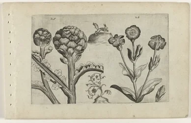 Artisjok en prikneus (Cognoscite lilia)