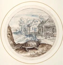 Schildpad, begin 17e eeuw