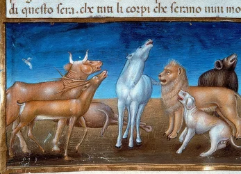 Het einde van de wereld: En de sterren zullen uit de hemel vallen en de dieren zullen bang zijn. 1476