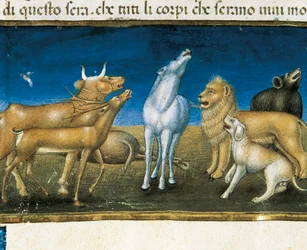 “Sterren zullen uit de hemel vallen voor de ogen van dieren” (miniatuur) Miniatuur door Cristoforo De Predis (1440-1486)