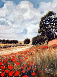 Wilde Klaprozen, Hertfordshire