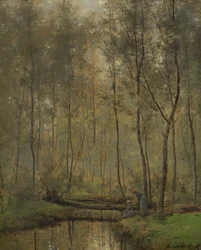 Dutch: Oever van een rivier Riverbank