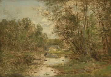Landschap