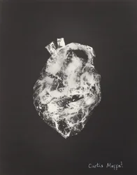 Zonder titel, ca. 1925 (fotogram: gelatin zilverdruk)