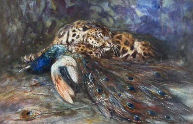 Jaguar met pauw