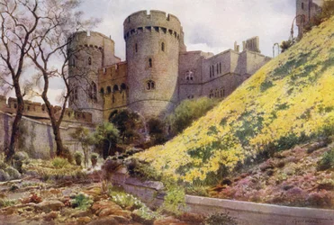 Narcissen op de heuvel onder de Ronde Toren, Windsor Castle