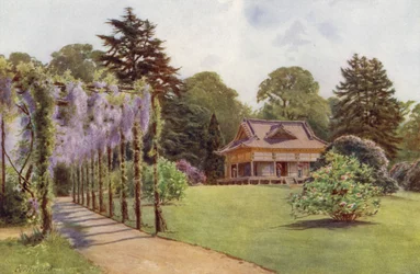 Het Japanse huis en Wisteria Pergola, Bagshot Park