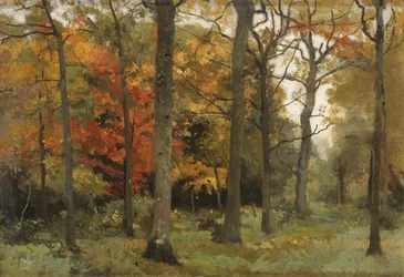 Herfstbladeren