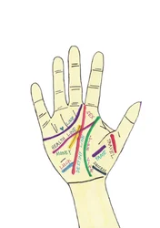 Palm Hand (viltstift op papier)