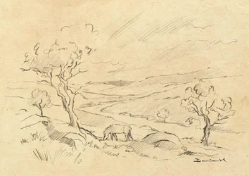 Dartmoorpony