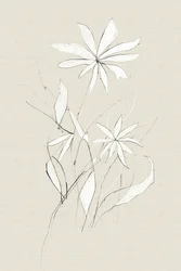 Boerderijbloem