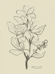 Bloemen 1