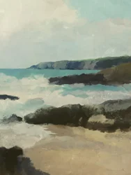 Rotsachtig strand