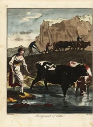 Melkmeisje en boeren met vee