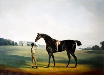 Een paard en stalknecht in de tuinen van Hooton Hall, Cheshire