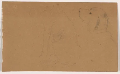 Tekening, Dash (een Setter), hoofd en lichaam, ca. 1862