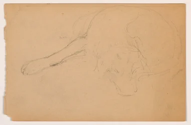 Tekening, Miol (een Pointer), ca. 1862