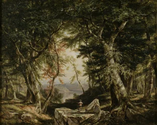 Glimpen uit het bos