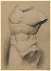 Mannelijke Torso van een Gipsafgietsel
