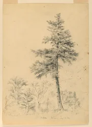 Studie van Hemlock, Gorham, New Hampshire