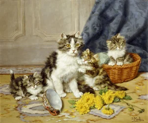 Speelse kittens