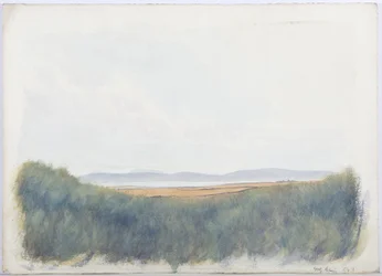 Heilig eiland, 1893