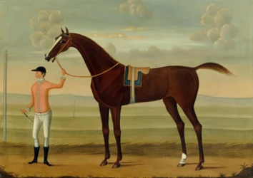 Een Bay renpaard met zijn jockey op een renbaan