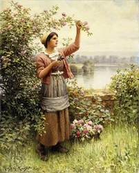 Rozen snijden langs de Seine