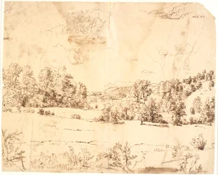 Een bosweide tussen beboste heuvels