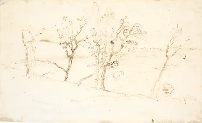 Jutlands landschap. Meren tussen heuvels