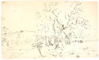 Landschap met bomen