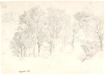Studie van Bomen