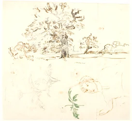 Studies van eik, ranonkelbladeren en anderen