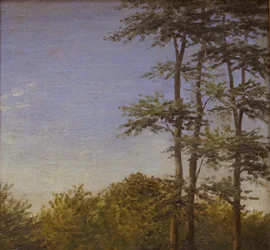 Studie van ondergroei en hoge bomen, Funen