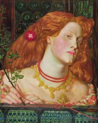Schone Rosamund