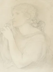Studie van Fanny Cornforth, 1863
