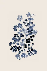 Indigo Bloemenpracht