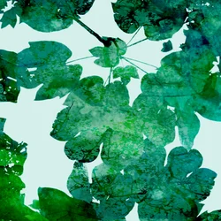 Gelaagde groene bladeren