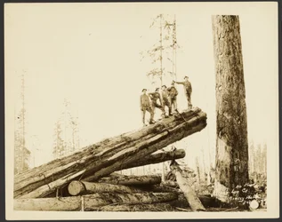 [Houthakkers/Houtscène].