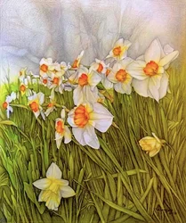 Dansende narcissen, 2020