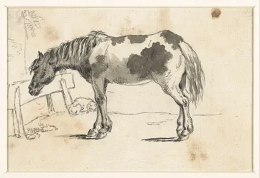 Staand paard en een liggende hond