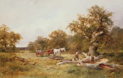 In het Forest of Dean