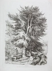 Beuk nr. 18, illustratie uit Progressieve Lessen over Landschap voor Jonge Beginners, 1816