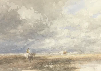 Op weg naar het hooiveld