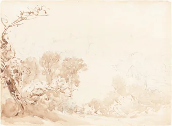 Heuvel en Bomen