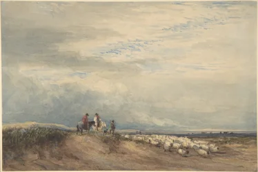 Ruiters met schapen bij een estuarium