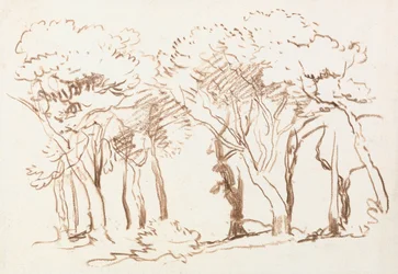 Studie van bomen